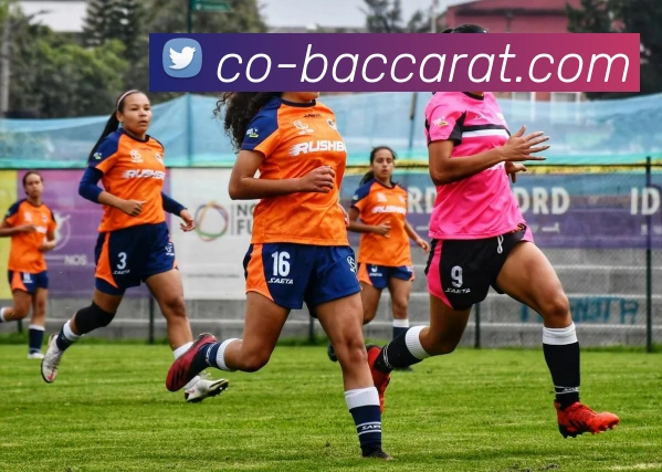 百家乐官网服务体系